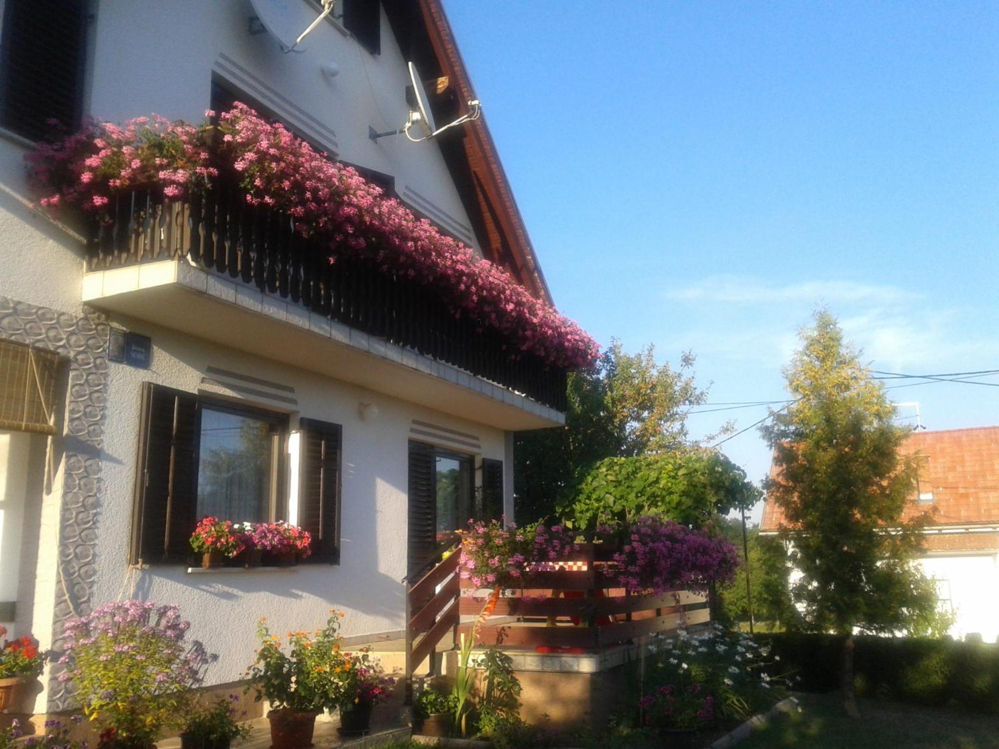 Guest House Adrijana Селиште-Дрежничко Экстерьер фото