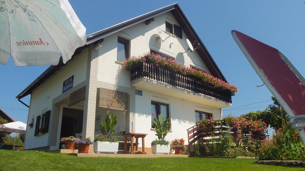 Guest House Adrijana Селиште-Дрежничко Экстерьер фото