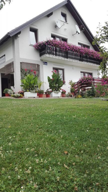 Guest House Adrijana Селиште-Дрежничко Экстерьер фото