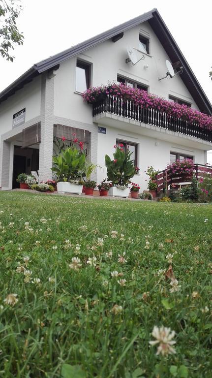 Guest House Adrijana Селиште-Дрежничко Экстерьер фото