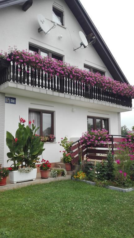 Guest House Adrijana Селиште-Дрежничко Экстерьер фото