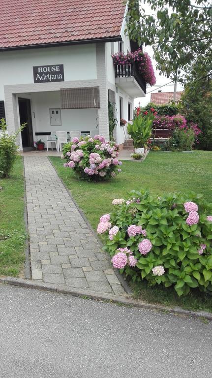 Guest House Adrijana Селиште-Дрежничко Экстерьер фото