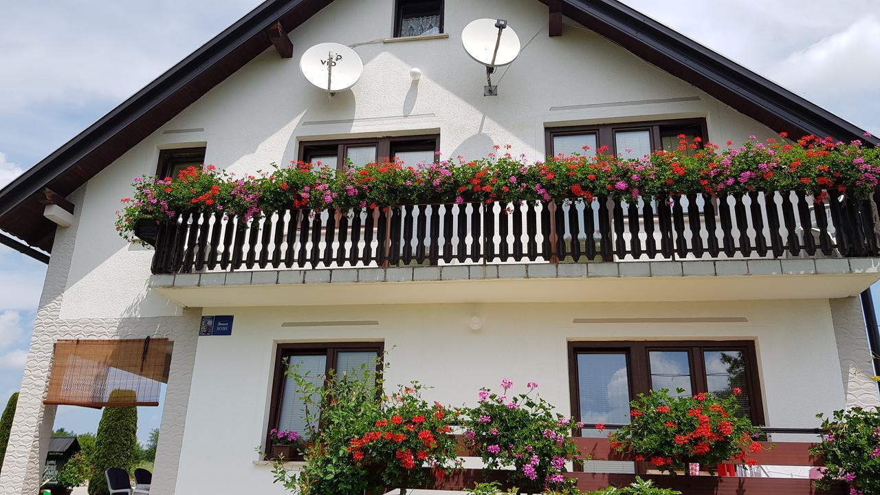 Guest House Adrijana Селиште-Дрежничко Экстерьер фото