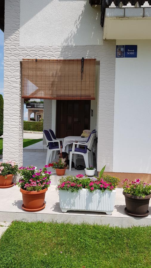 Guest House Adrijana Селиште-Дрежничко Экстерьер фото