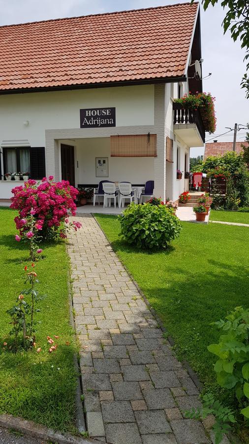 Guest House Adrijana Селиште-Дрежничко Экстерьер фото